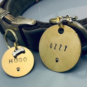 Könnte beinhalten: Zwei goldene Hundemarken mit den eingravierten Namen "Hugo" und "Ozzy" und Pfotenabdruck-Designs. Die Marken sind an einem braunen Lederhundekragen befestigt.
