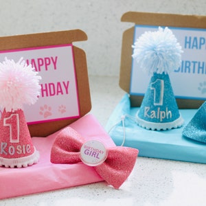 May include: Two sets of pet birthday party hats and bow ties. One set is pink with a pink glitter hat with the name "Rosie" and a pink glitter bow tie with a "Birthday Girl" button. The other set is blue with a blue glitter hat with the name "Ralph" and a blue glitter bow tie with a "Birthday Boy" button.