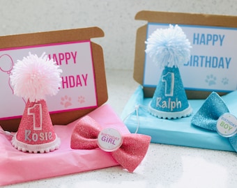 Dog Cat Personalised Birthday Hat Matching Bow Dog 1st Birthday Hat Pet Birthday