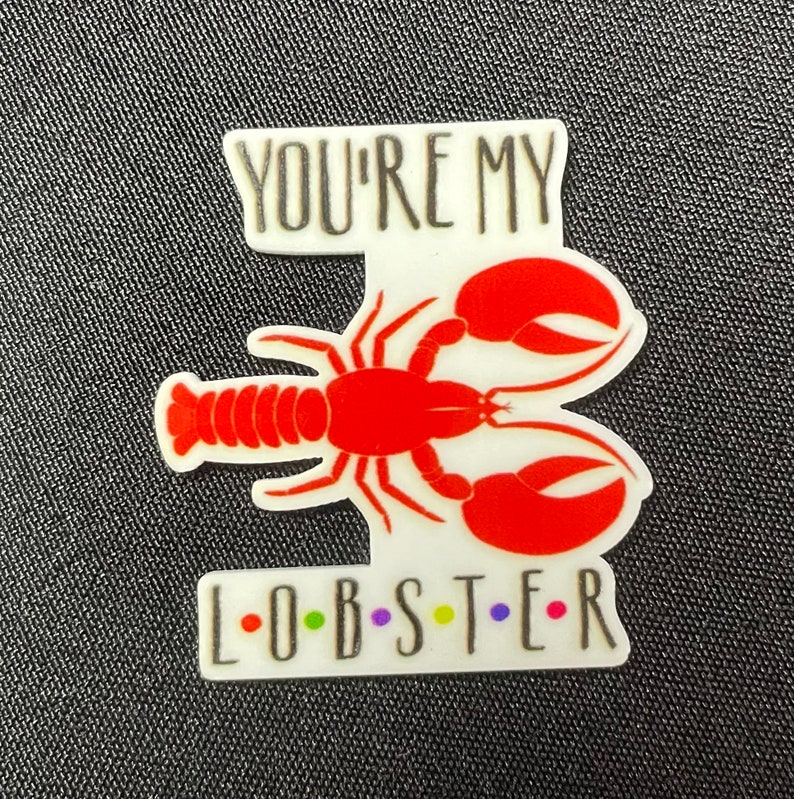 Pu&ograve; includere: Spilla a tema aragosta bianca e rossa con la scritta "YOU'RE MY L-O-B-S-T-E-R" in lettere nere e colorate. L'aragosta &egrave; rossa con dettagli bianchi. La spilla &egrave; su una superficie strutturata grigio scuro.