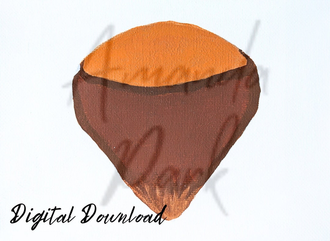 Stardew Valley Hazelnut Digital Download JPG & PNG Printable Fall Nuts