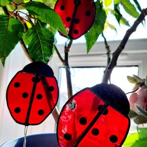 Ladybird plant pot stakes suncatcher