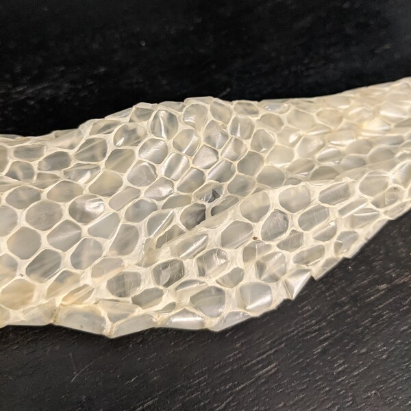 Snake Sheds Etsy