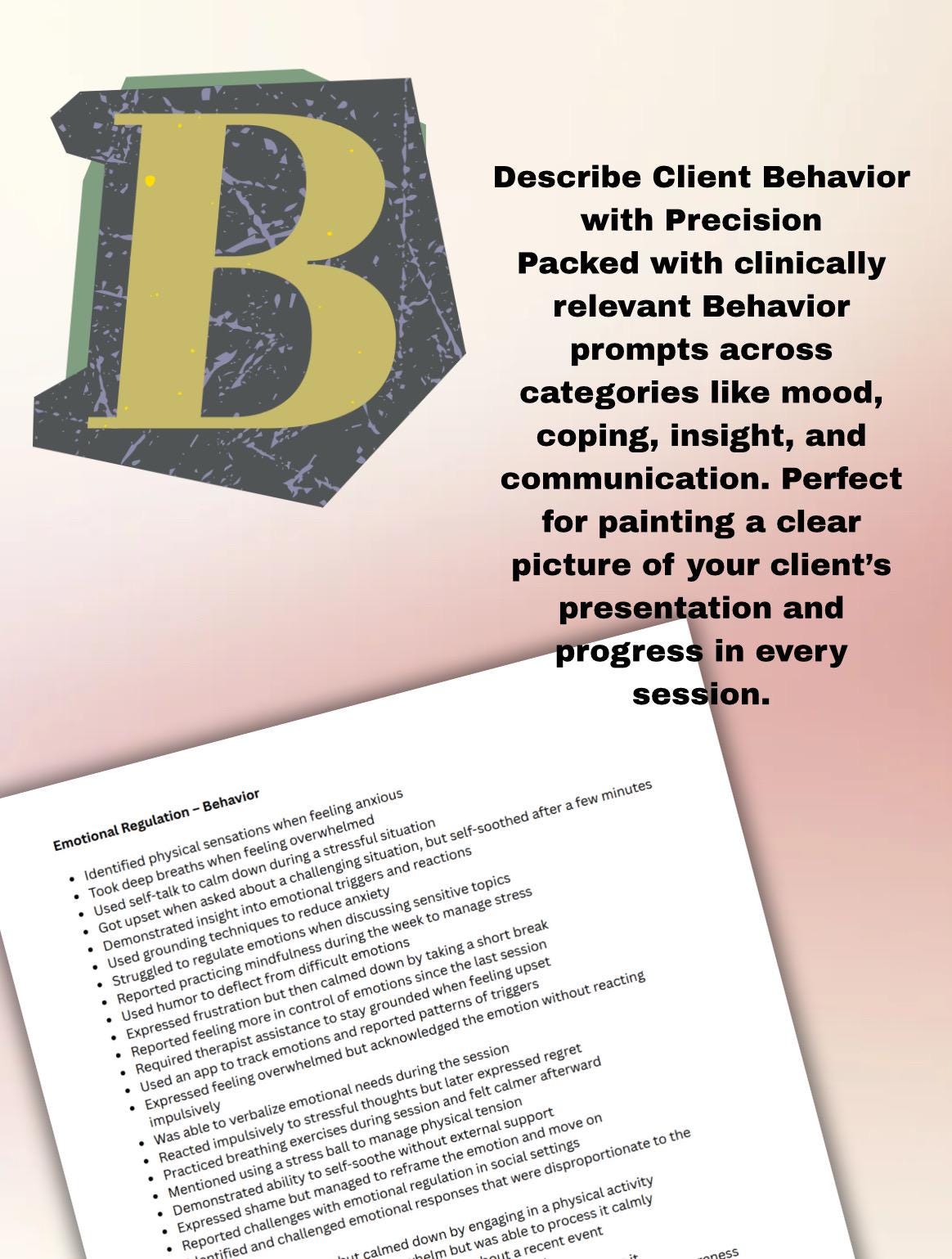 BIRP Progress Note Prompts: Mental Health Documentation for Therapists ...