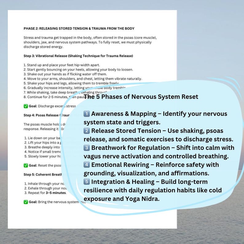 May include: A diagram outlining the five phases of nervous system reset. The phases are: Awareness & Mapping, Release Stored Tension, Breathwork for Regulation, Emotional Rewiring, and Integration & Healing. The diagram is on a white background with blue text.