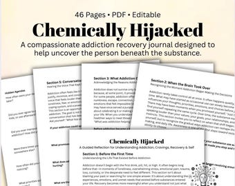 Addiction Recovery Workbook Substance Abuse Therapy Worksheets Recovery Journal Addiction Counseling Printable PDF Chemically Hijacked