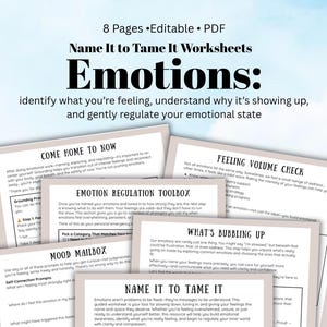Feelings Workbook: Emotional Regulation & Coping Tools (PDF Downloadable)