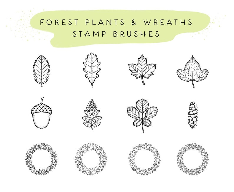 May include: A set of 10 black and white line art illustrations of forest plants and wreaths. The illustrations include leaves, acorns, ferns, and wreaths. The text "FOREST PLANTS & WREATHS STAMP BRUSHES" is at the top of the image.
