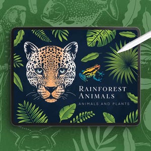 Conjunto de animales y plantas de la selva tropical de Procreate para fondos claros y oscuros