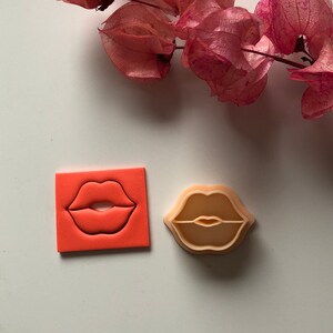 Pode incluir: Dois cortadores de biscoitos de plástico vermelho e bege em forma de lábios. Os cortadores estão sobre uma superfície branca com um ramo de flor rosa seco no fundo.