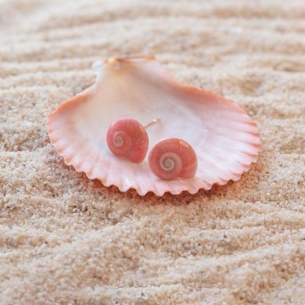Små snäckskalörhängen, sommarörhängen för kvinnor, strandörhängen, minimalistiska smycken, fina örhängen, present till henne
