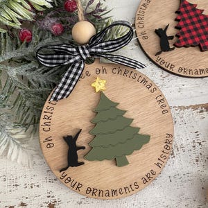 cat ornament, new kitten gift, family pet ornament, cat lover gift, crazy cat, Christmas ornament, cat lady, funny cat ornament, Xmas tree
