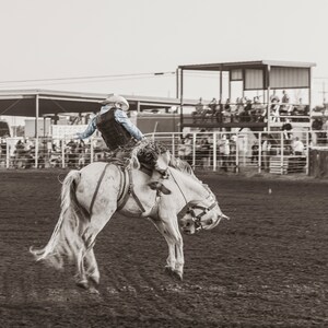 May include: A cowboy in a blue shirt and brown vest rides a white horse in a rodeo arena. The horse is bucking, and the cowboy is holding on tight.