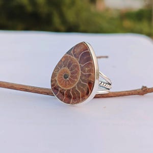 Op de afbeelding: Zilveren ring met een druppelvormig ammonietfossiel. Het fossiel toont een spiraalpatroon in bruine en bruinachtige tinten. De ringband heeft een textuur.