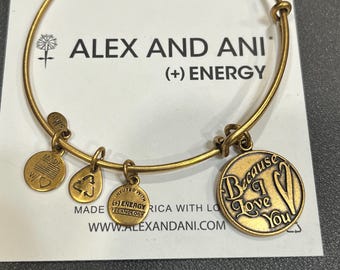 Alex and Ani charm bracelet.