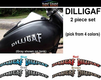 Dilligaf - Decals Stickers - 2pc set for Motorcycles Helmets car & truck windows Guitars Toolboxes D.I.L.L.I.G.A.F.