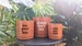 Terracotta Plant Pun Pot | Planters with fun plant puns that are perfect for house plants and unique gifts 