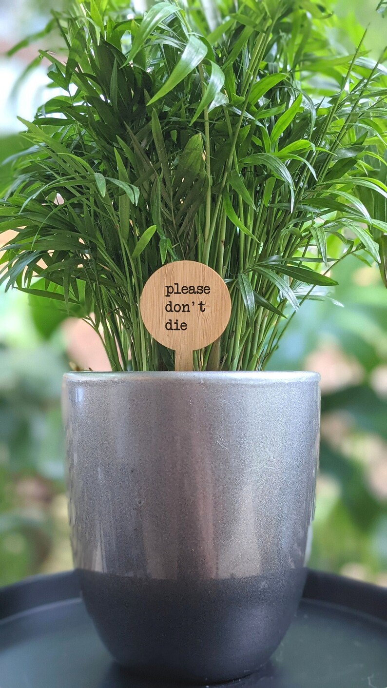 Wood Plant Tag Planter Stake Tag Bamboo Plant Label Plant Circle