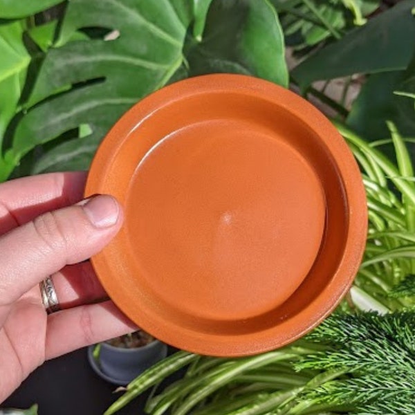 Terracotta Plant Dish | Sealed to prevent water leakage and protect furniture