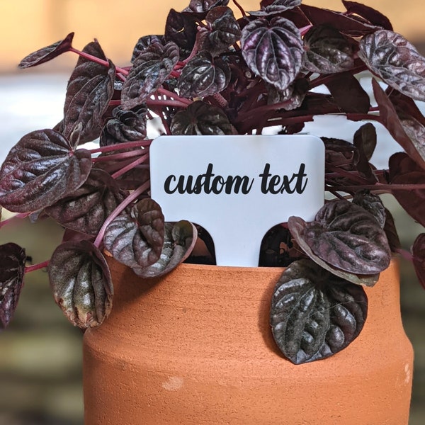 Custom Plastic Plant Tag | White plant stakes perfect for plant identification and personalized gifts