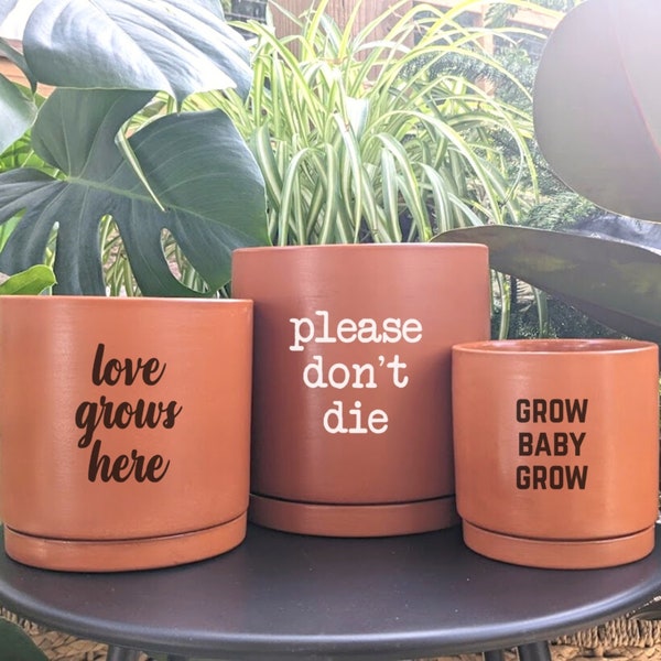 Terracotta Plant Pun Pot | Planters with fun plant puns that are perfect for house plants and unique gifts
