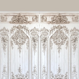 May include: Ornate white wall panels with detailed relief carvings. The panels feature floral and scrollwork designs, creating a classic and elegant aesthetic. The carvings are in a lighter shade, adding depth and dimension to the wall decor.