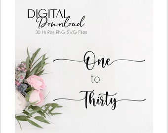 SVG Table Numbers Digital Download | DIY Wedding Table Numbers | Instant Download svg WSS01