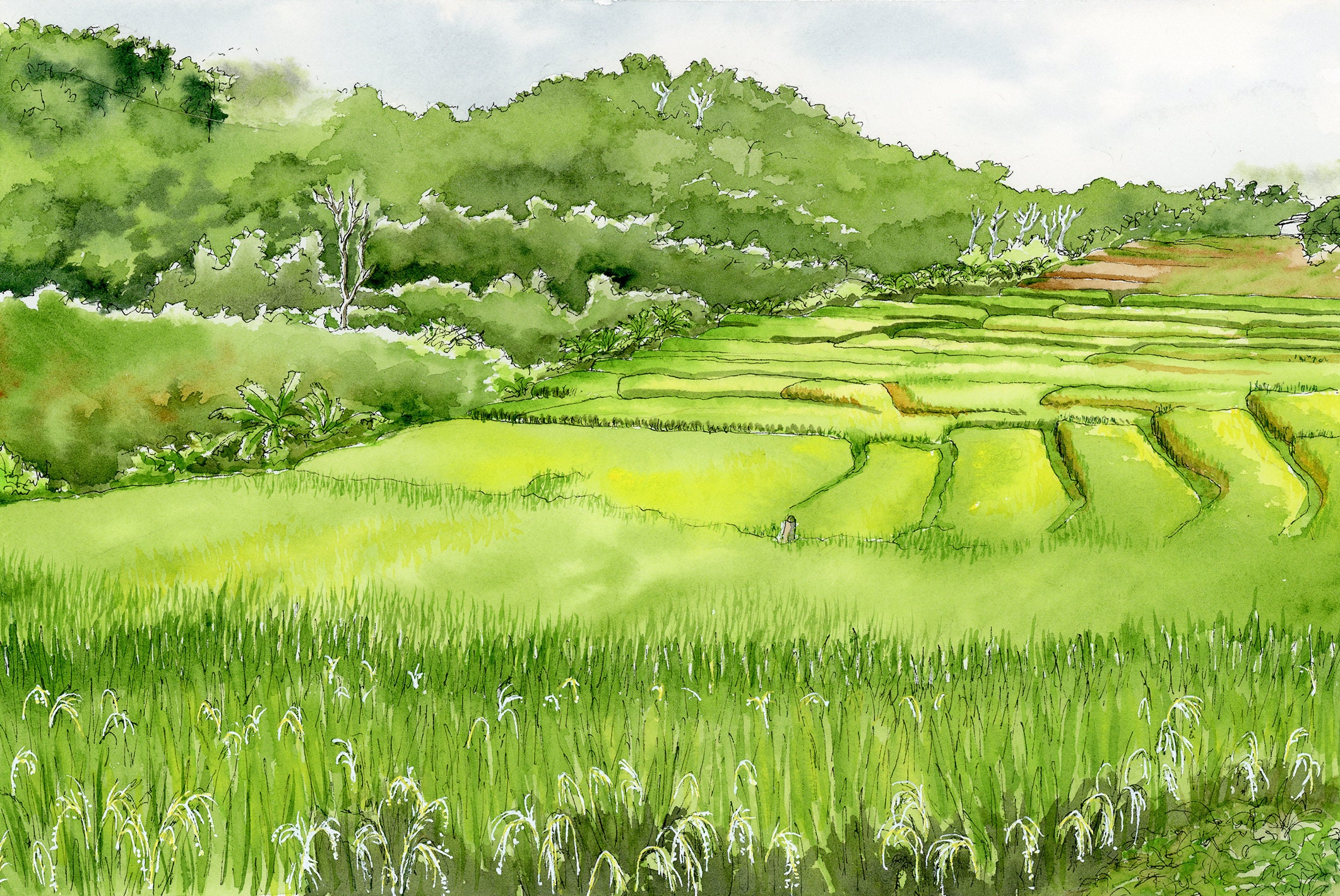 A Rice Farmer by TheUnderGroundWorld on DeviantArt