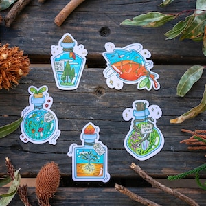 Könnte beinhalten: Fünf bunte Aufkleber mit Glasflaschen, die verschiedene Pflanzen- und Blumenillustrationen zeigen. Die Flaschen sind mit einer grünen Flüssigkeit gefüllt und haben Korkstopfen. Die Aufkleber haben weiße Ränder und befinden sich auf einem Holzgrund.