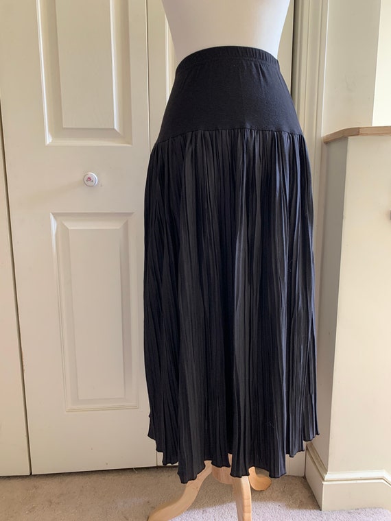 AccordionPleated Skirt Gem