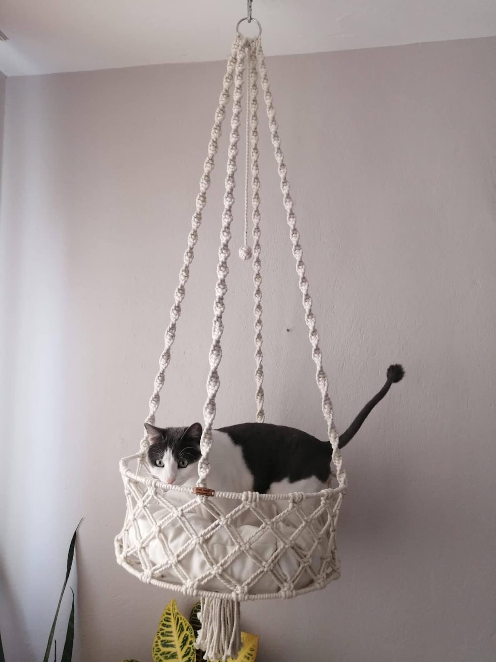 Macrame Gifthanging Cat Macrame Basket Hanging Cat Hammock - Etsy