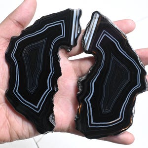 May include: Two polished agate slices featuring deep black centers surrounded by concentric white and gray banding. These mineral specimens have irregular, organic shapes with smooth, glossy surfaces and rough, textured outer edges.