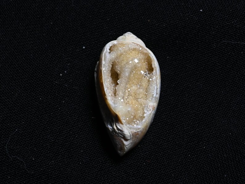 Natural Rare Fossil Snail Druzy Agate Fancy Loose Gemstone | Druzy ...