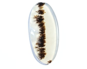 Shajar Dendrite Agate Cabochon Gemstone, 4 ct. Natural Shazar Dendrite Agate, Scenic Dendritic Agate Shazar Jewelry Making Healing Stone.