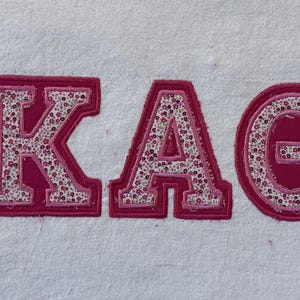 Sorority Greek Letter Embroidered Sweatshirt - Pink