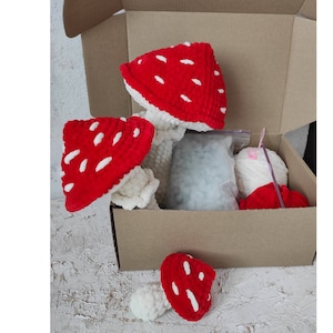 Hongo DIY - Kit de crochet para principiantes con hilo - Amigurumi crochet fácil