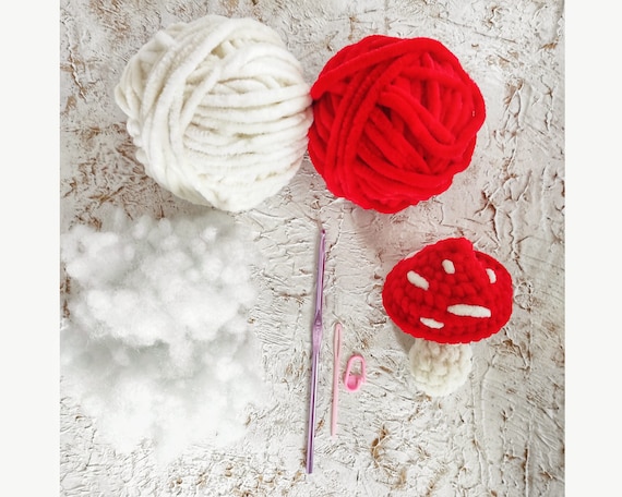 DIY Mushroom Crochet Kit for Beginners With Yarn Amigurumi Easy