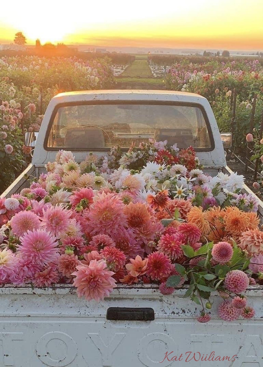 Bed of Flowers Digital/printable Art - Etsy