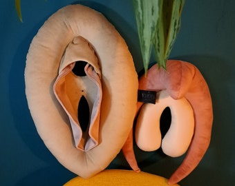 Velvet Vulva Anatomy Set, Detachable Clitoris, Sex Education Tool