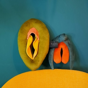 Vulva 2.0, anatomy set of vulva with detachable clitoris, colorful puppets for sex education, sex coaching gadget