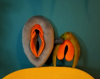 vulva Anatomy Set with Detachable Clitoris, Sex Education Tool