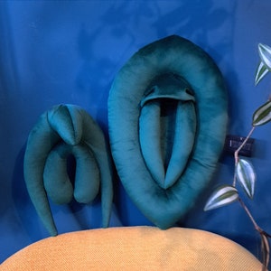 Vulva pillows set, vulva anatomy teaching set, clitoris and vulva puppets for sex education