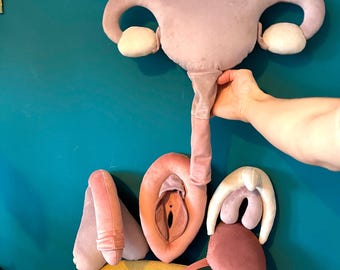 Anatomically Correct Boy Doll: Handmade Educational Toy