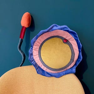 Educational Sex Tool