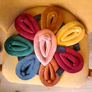 Set of 3 Vagina Pillows, Pussy Puppets, Sex Education Gadget, Lesbian