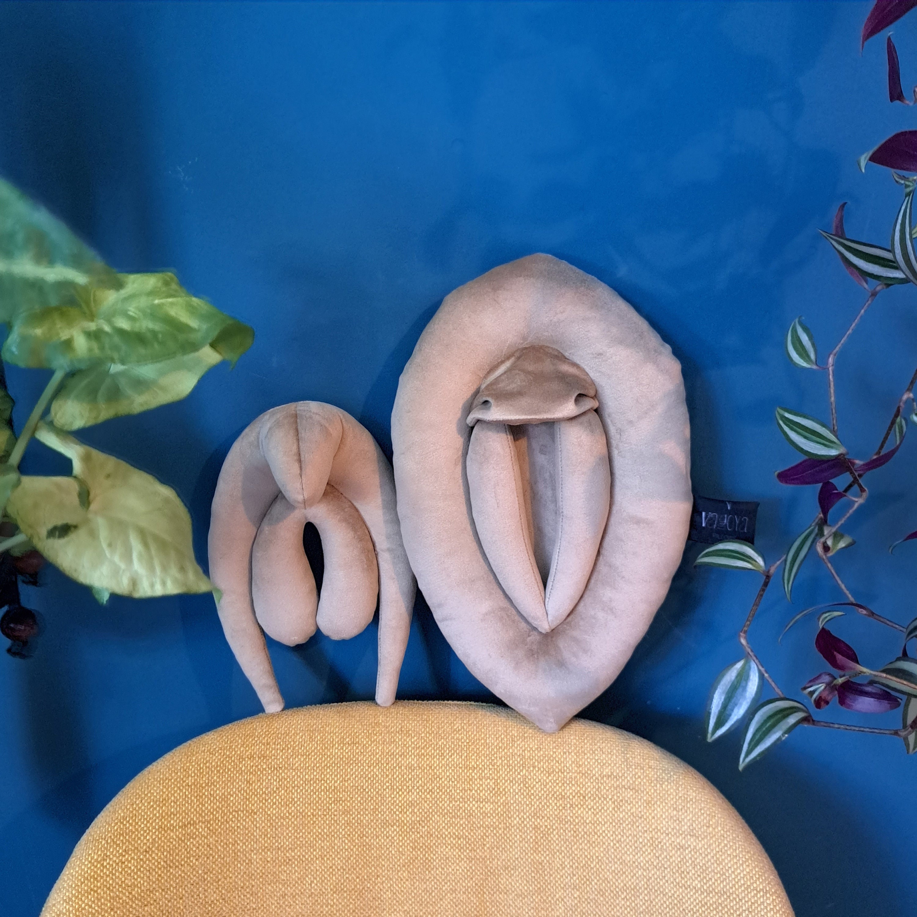 Vulva Anatomy Teaching Set Vulva and Clitoris Pillows photo