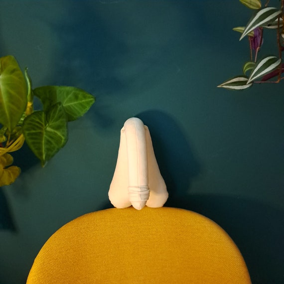 Almohada para el pene modelo anatomico del pene de terciopelo rosa cojin blanco para el pene educacion sexual Etsy Espana