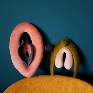 Vulva 2.0, anatomy set of vulva with detachable clitoris, colorful puppets for sex education, sex coaching gadget