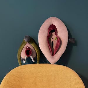 VULVA DELUXE model, sex education tool, body anatomy set, vulva with clitoris, skene’s & bartholin’s glands, vagoya pillows for sex coachers