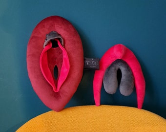 Vulva Anatomy Set 2.0 - Educational Tool for Female Anatomy Learning, sex education aid